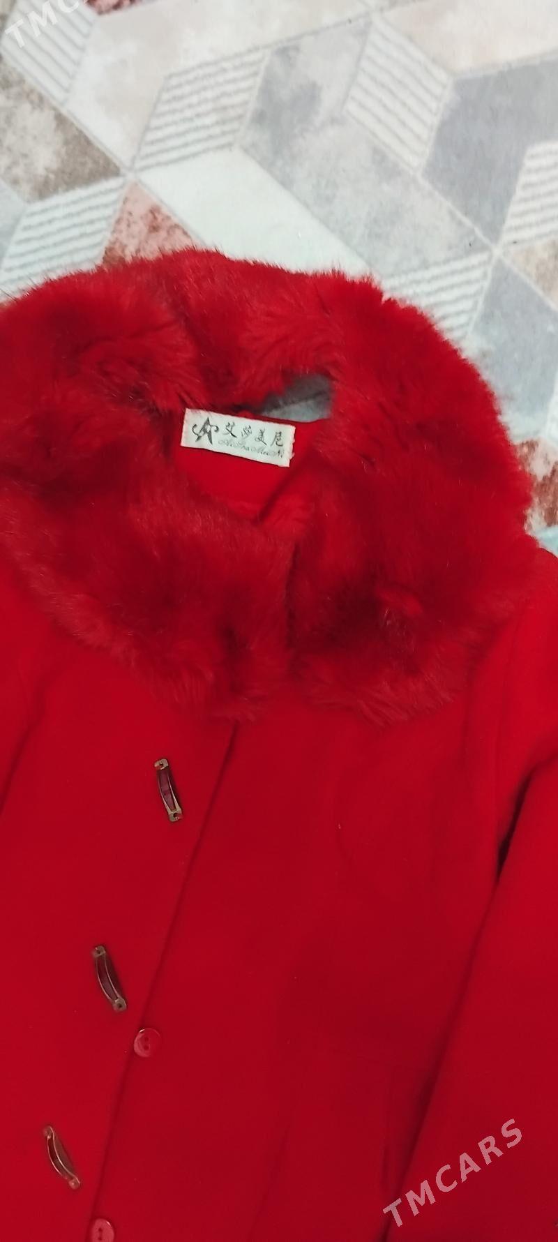 şuba palto plaç kurtga - Aşgabat - img 1