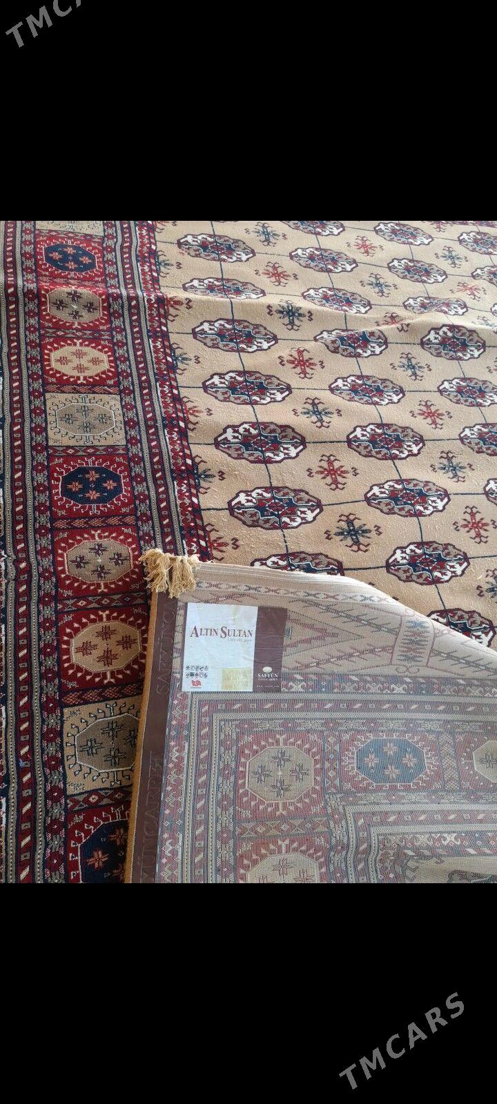 haly - Гызыларбат - img 1