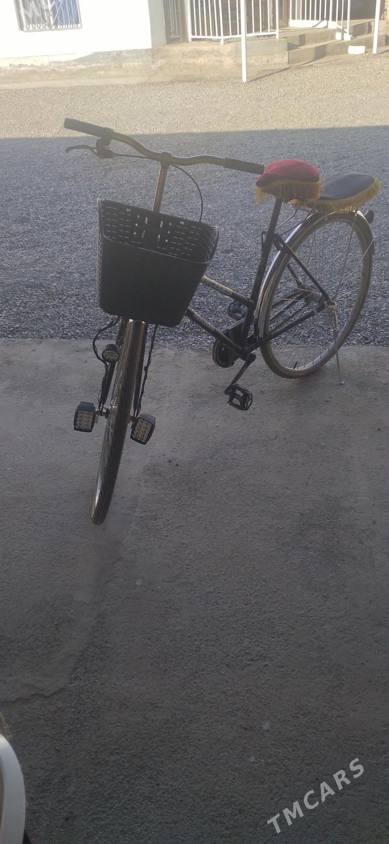 welik - Mary - img 1