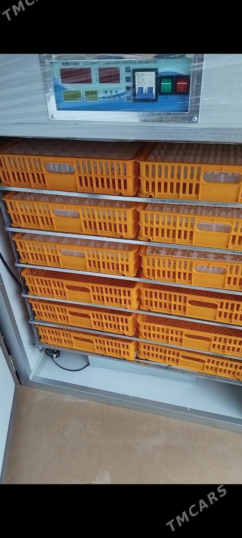 1056 inkubator - Туркменабат - img 1