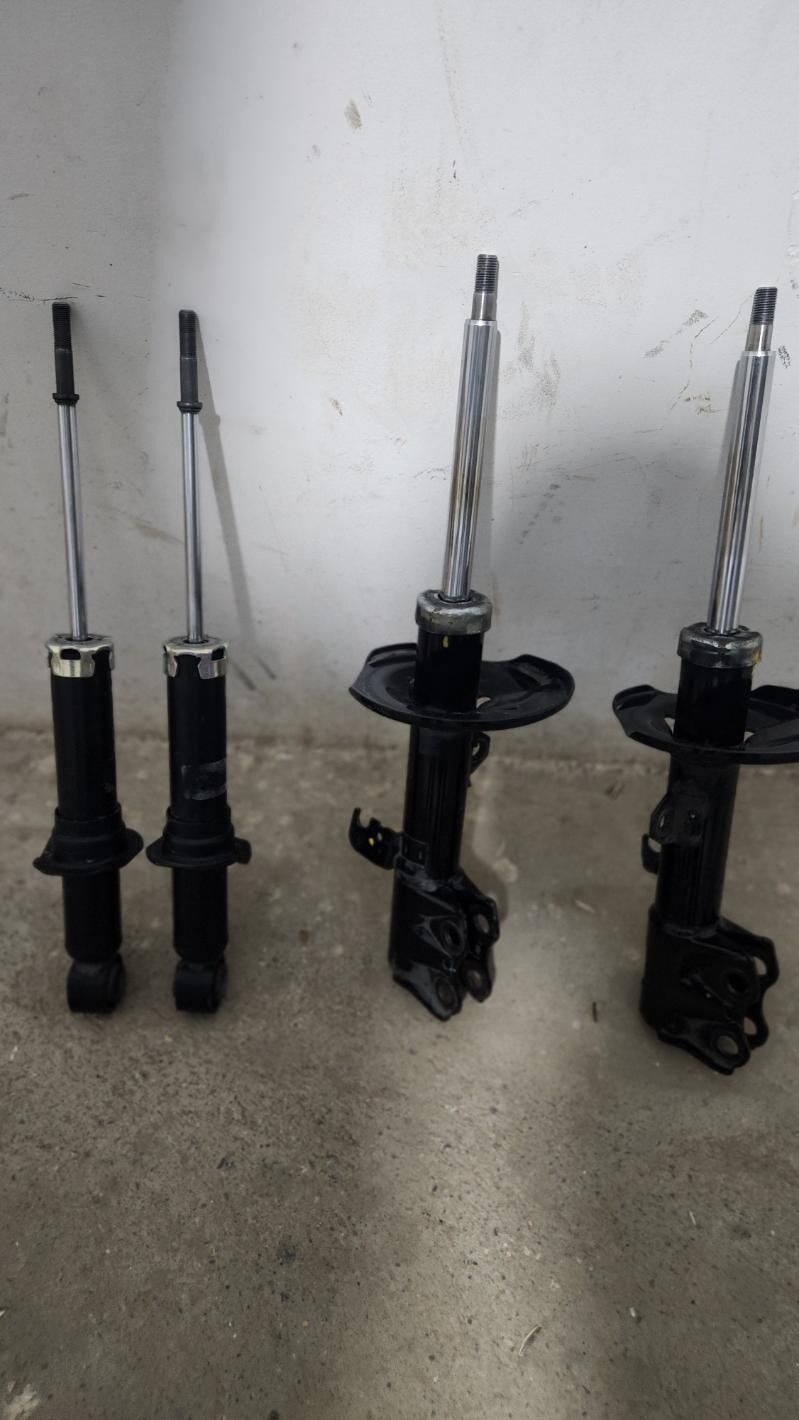 Amassatyr 210 TMT - Ak bugdaý etraby - img 1