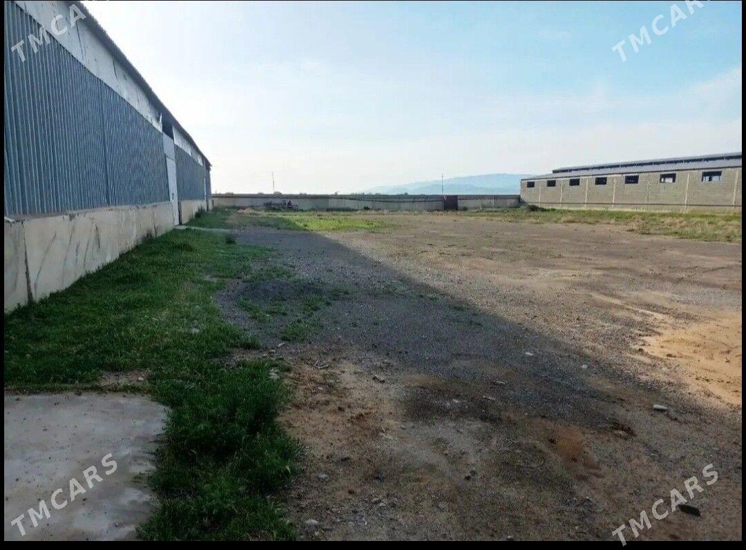 Бугдайлы 1 гектар онумчилик - Ak bugdaý etraby - img 1