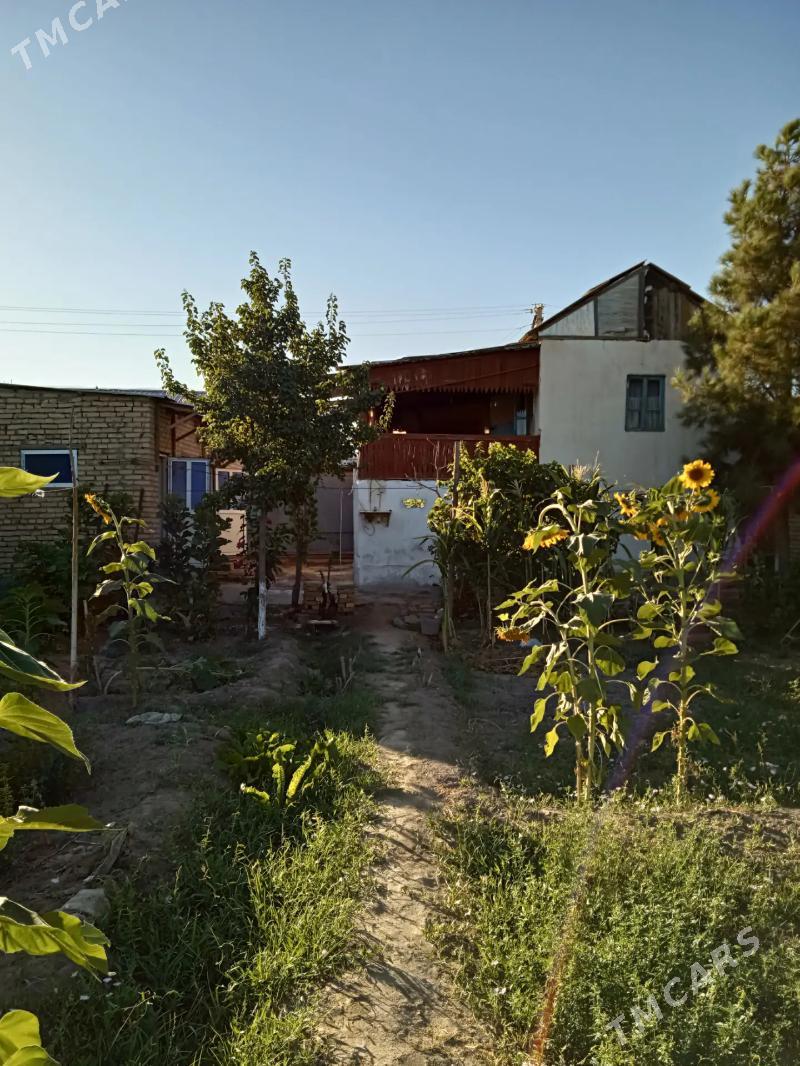 Продается дача - Türkmenabat - img 1