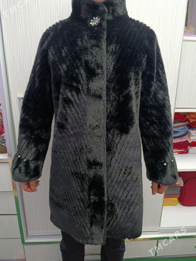 Shuba - Дашогуз - img 1