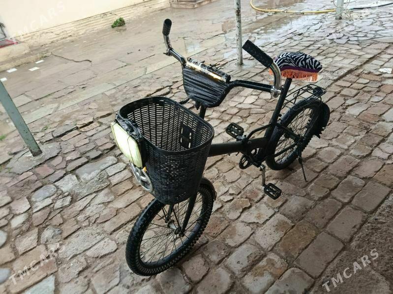 tigr - Bagyr - img 1