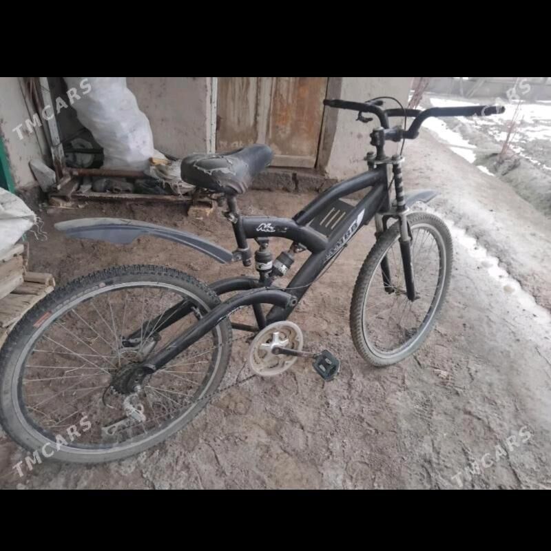 Welsapet - Gubadag - img 1