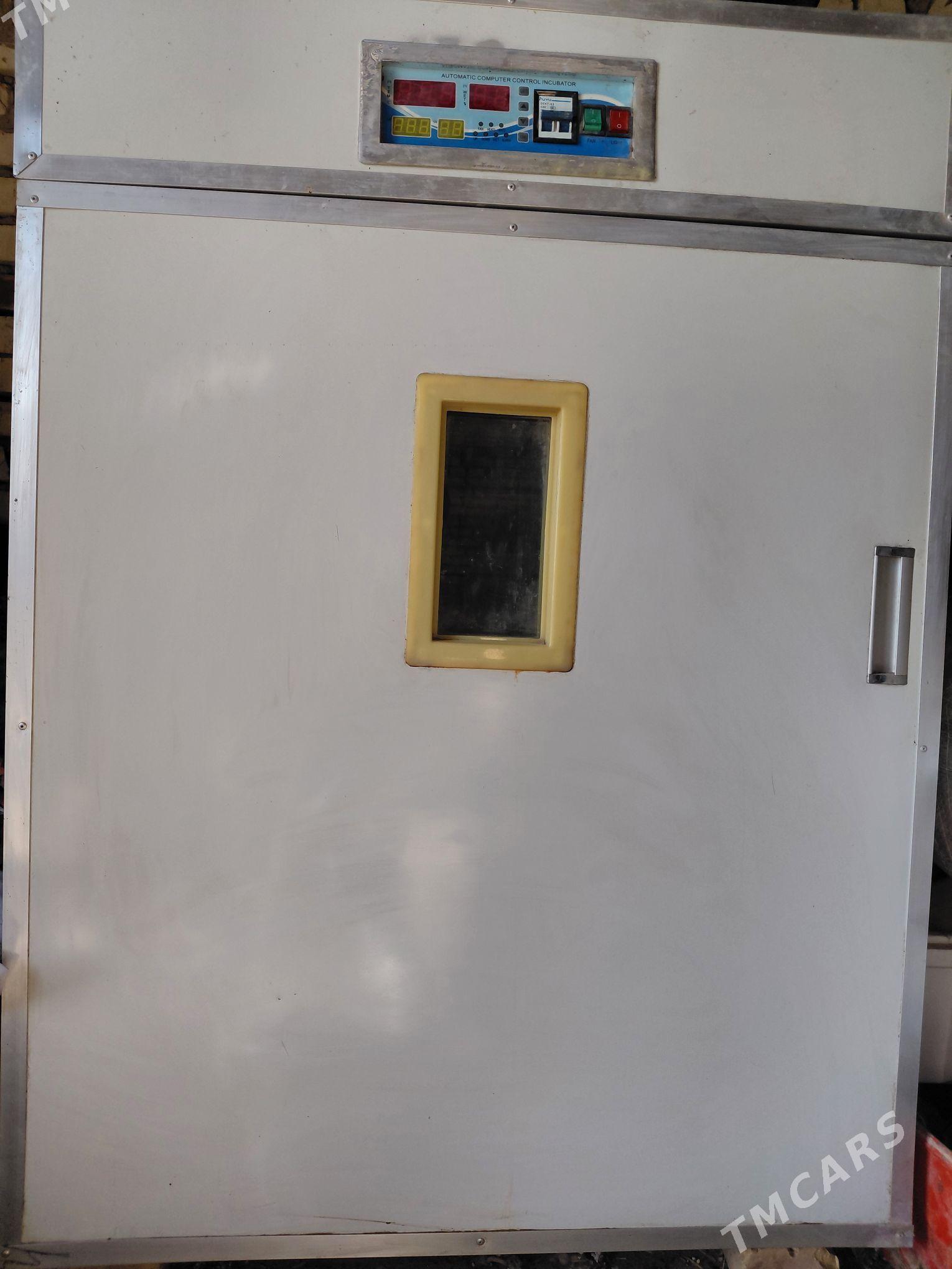 Inkowator - Tejen - img 1