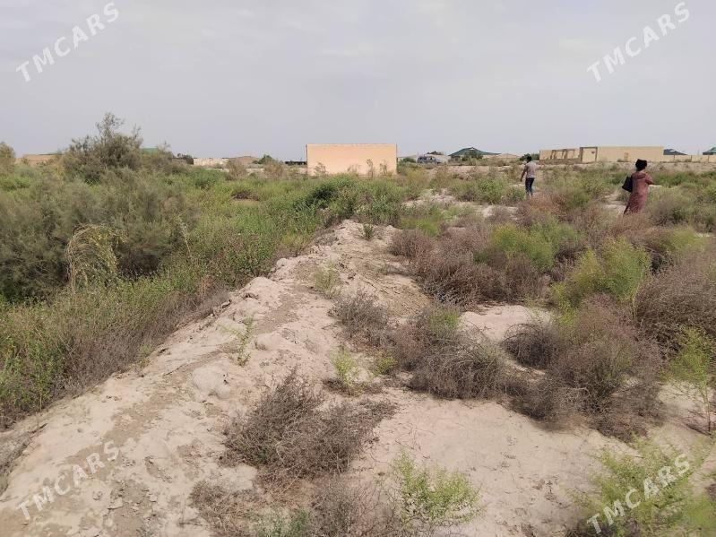 bosh mellek - Çärjew - img 1