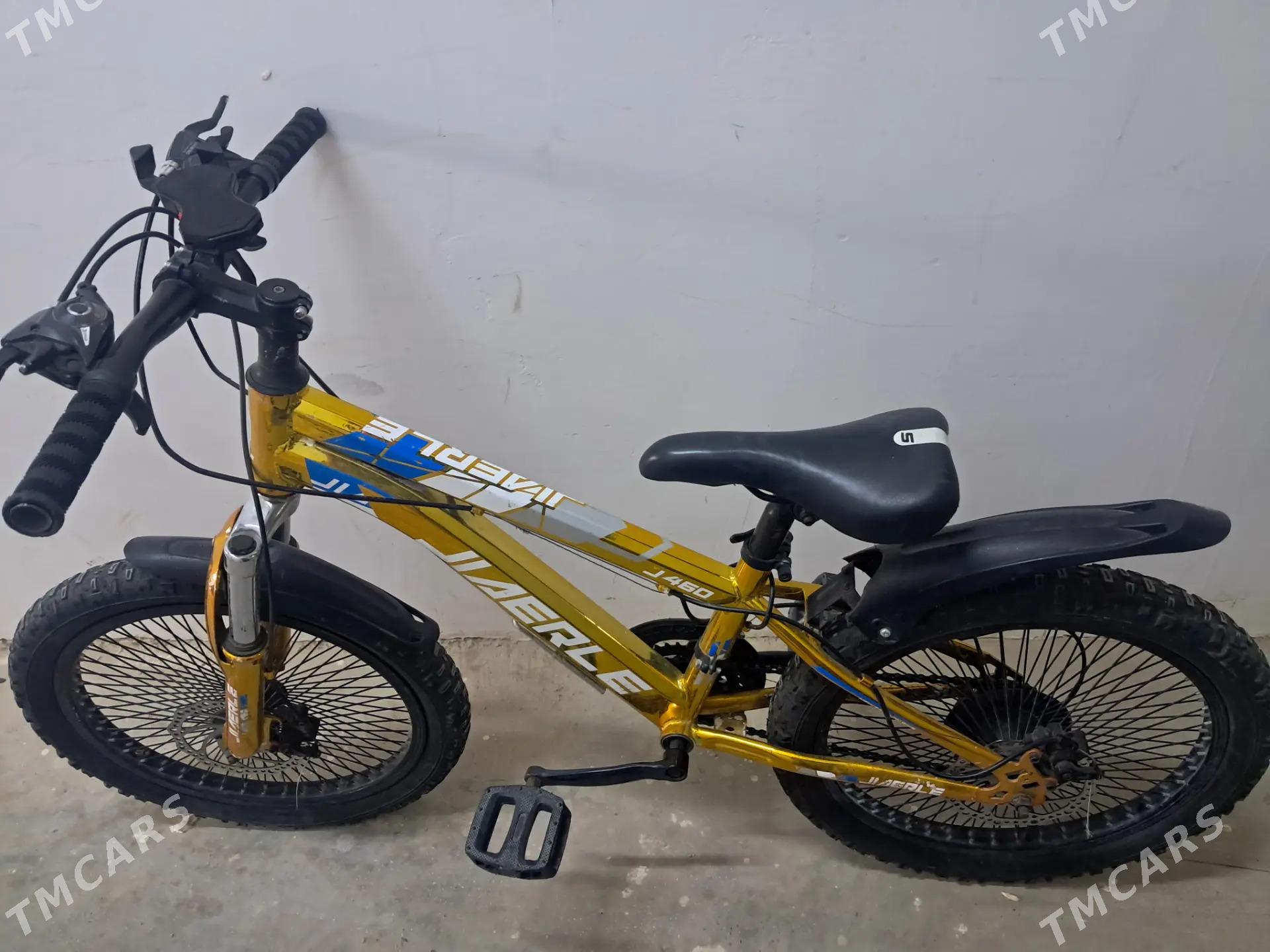 TIGIR WELOSIPED - Aşgabat - img 1