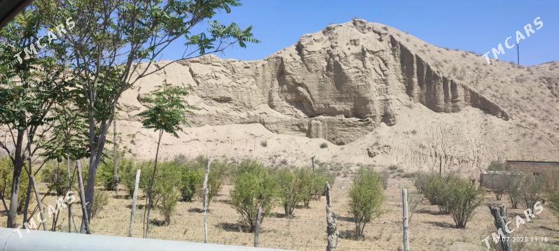 Daca yer - Magtymguly - img 1