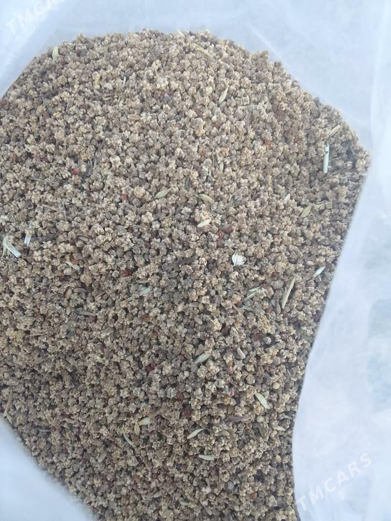 ŞYGYNURTOHUM - Гёкдепе - img 1