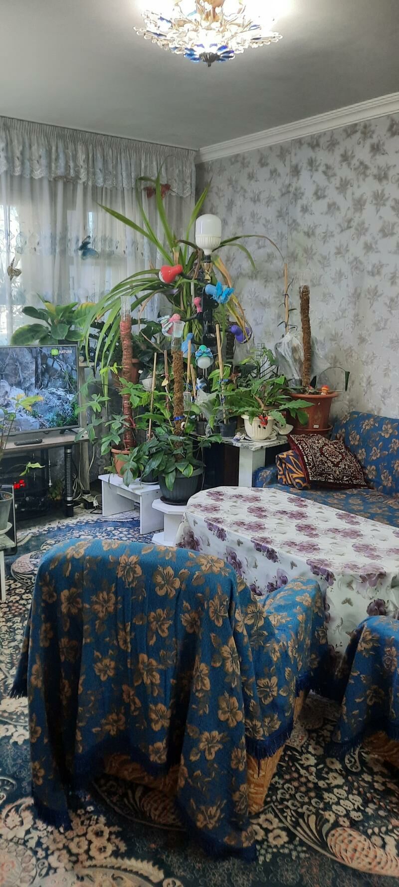 1мкр - Türkmenabat - img 1