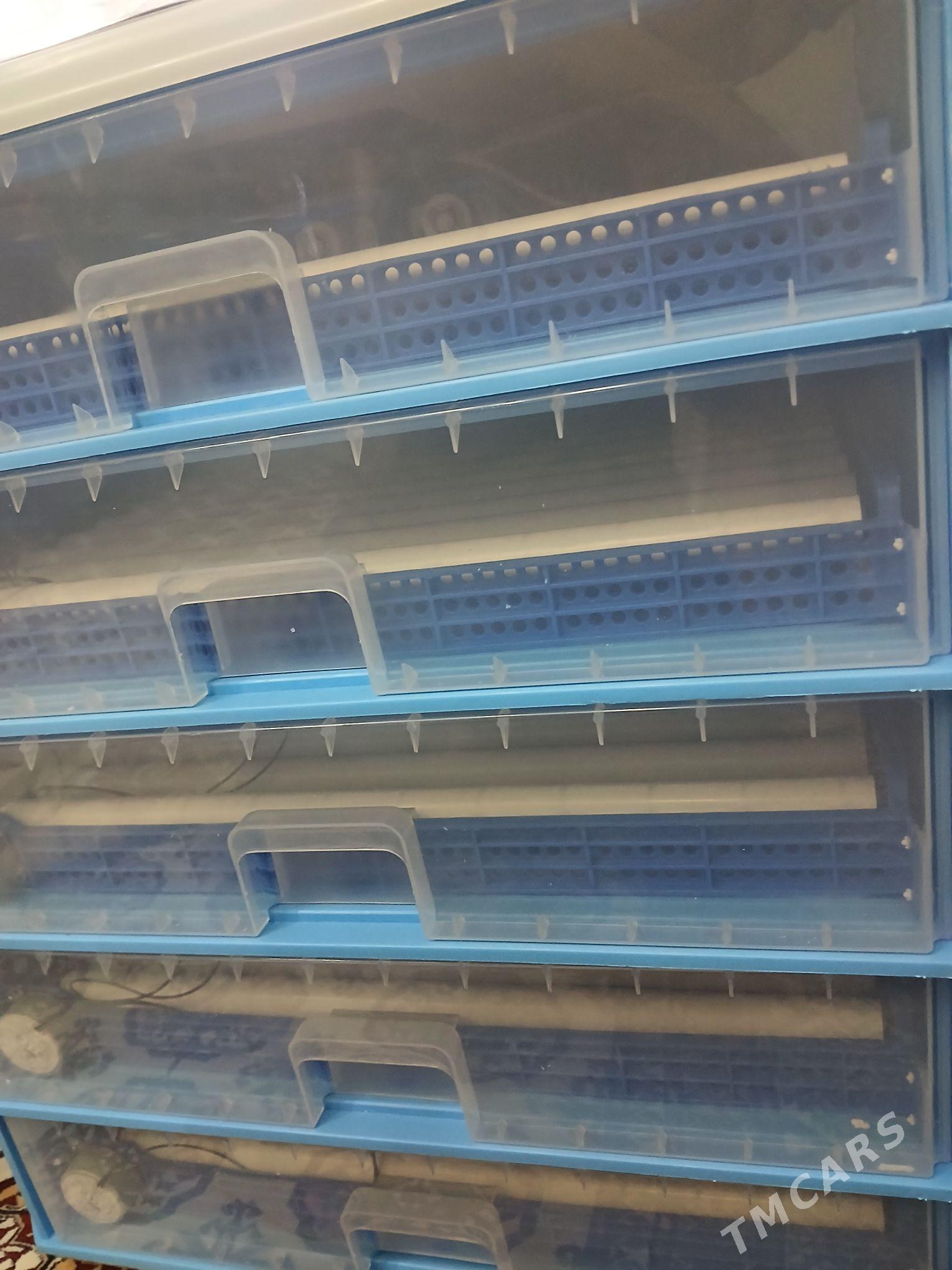 inkobatra yumurtga - Мир 2 - img 1