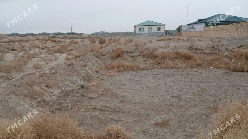 Mellek - Дашогуз - img 1