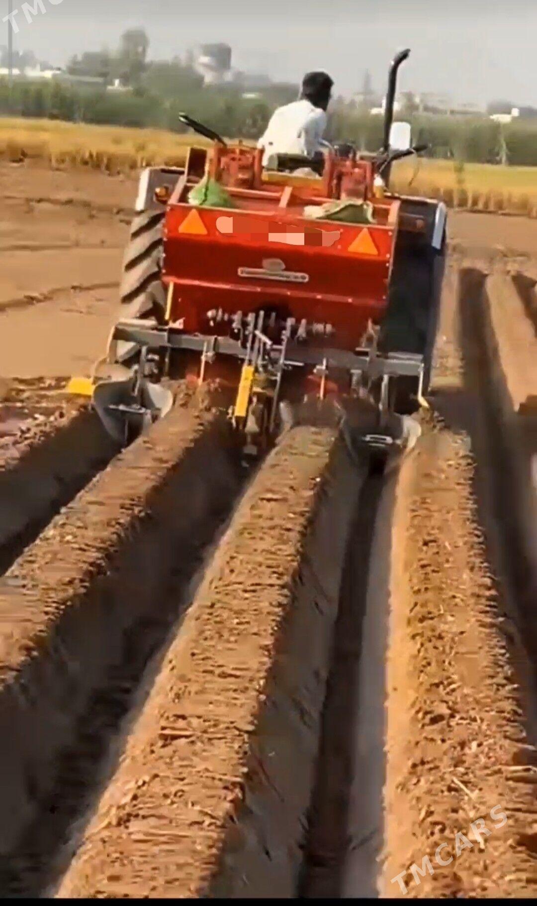 MTZ 80 2025 - 52 000 TMT - Мары - img 1