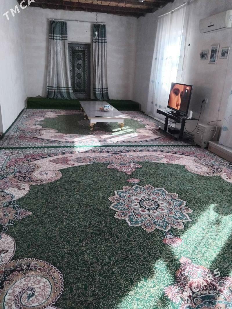 Gulistan saherce - Daşoguz - img 1