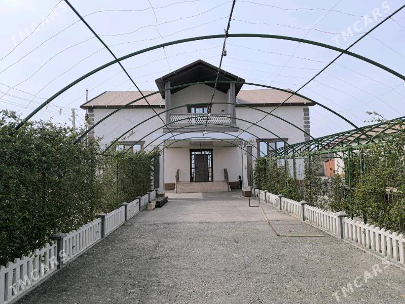 Taýyn biznes amatra daca. - Mary - img 1