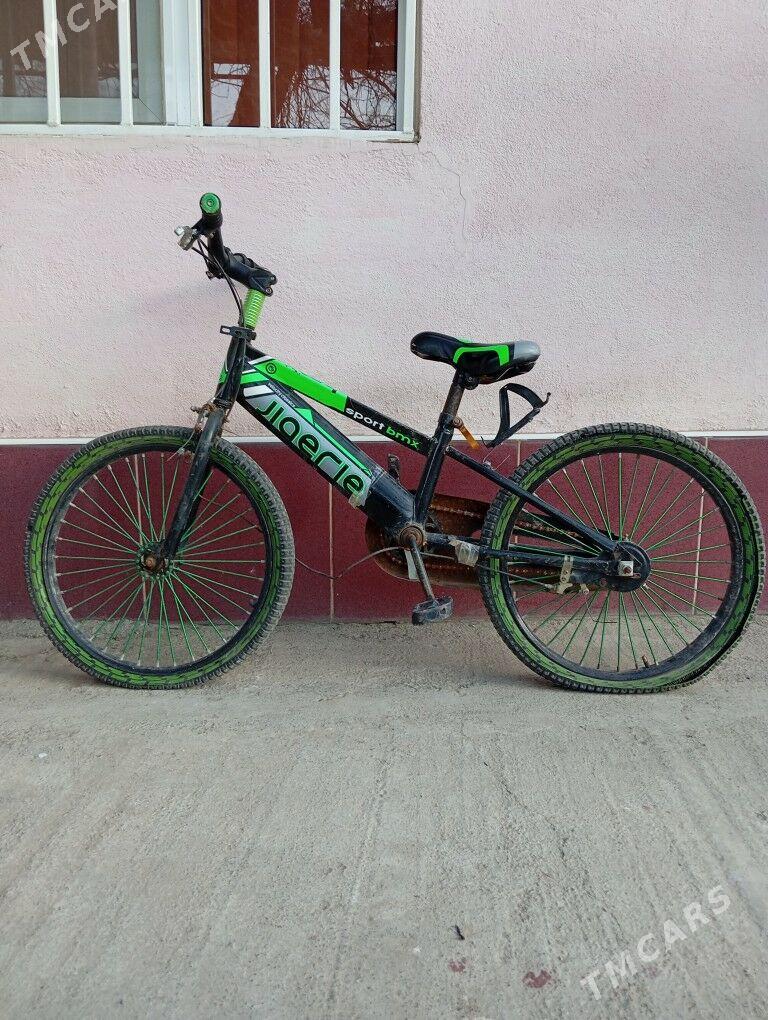 Tigir - Köşi - img 1