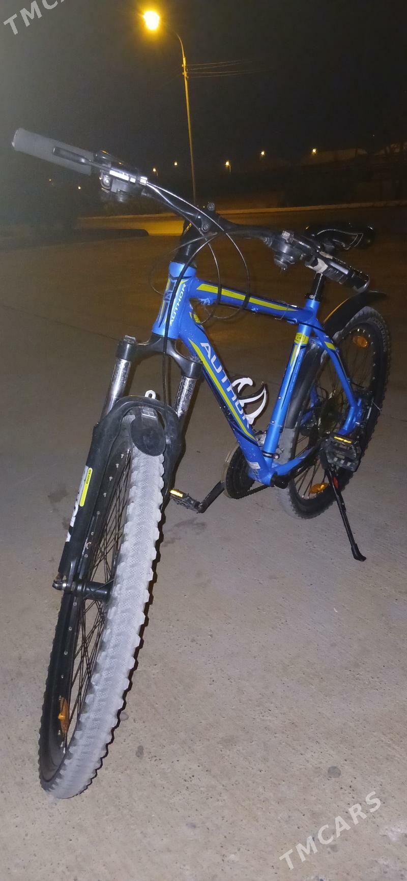 Tigir - Büzmeýin - img 1