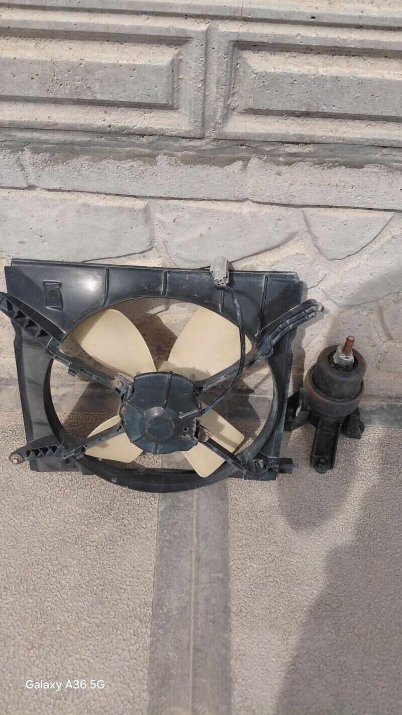 2.2 lisicka öñ poduska 150 TMT - Mary - img 1