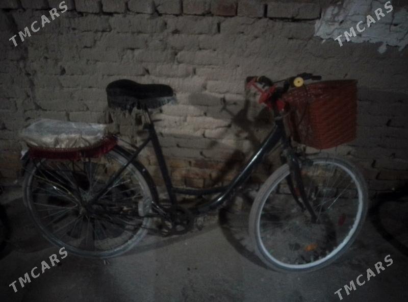 Welik snoky - Дянев - img 1