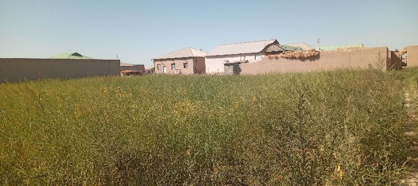 hojalyk ýeri 16 sotuk - Gurbansoltan Eje - img 1