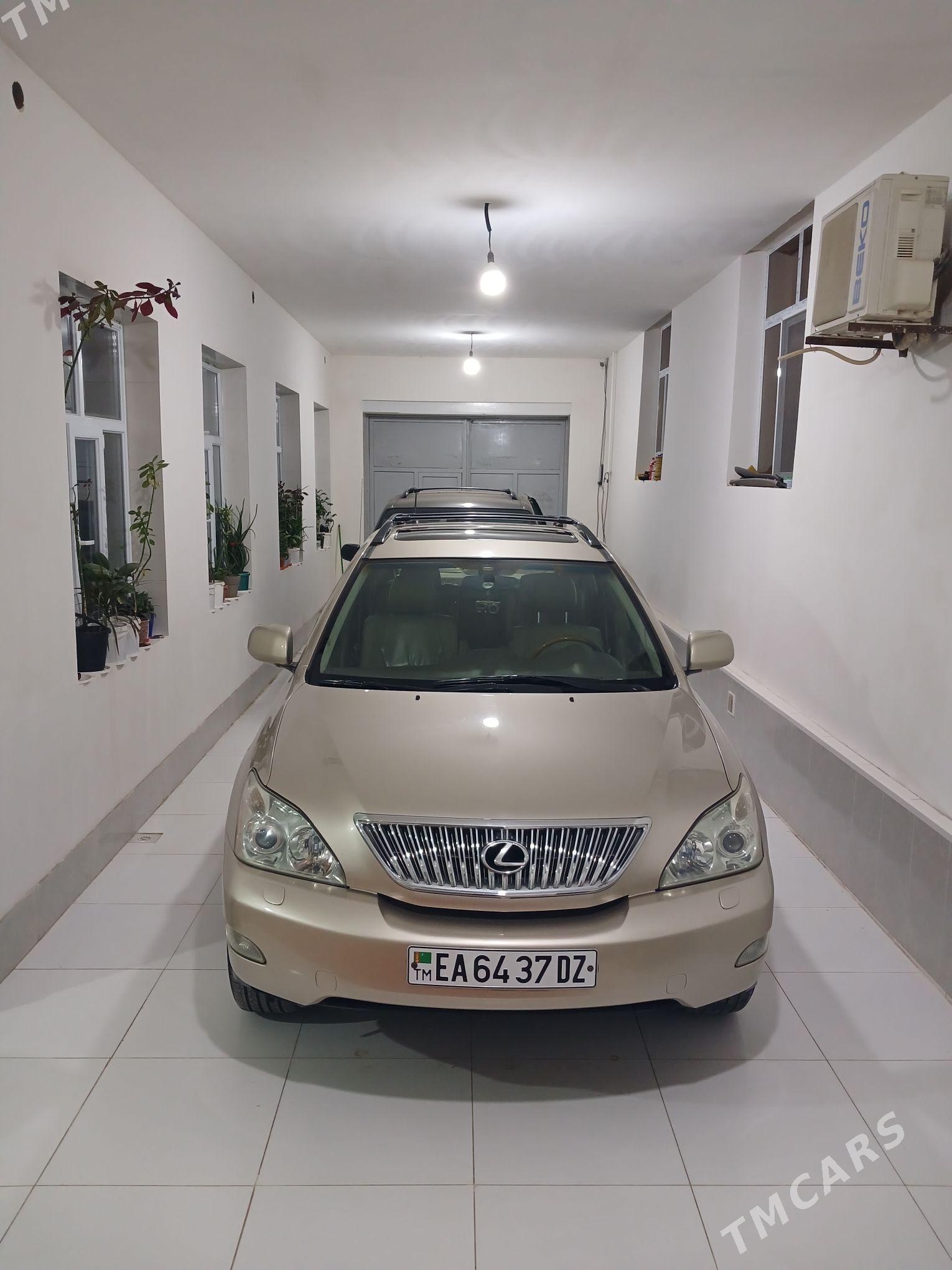 Lexus RX 330 2004 - 285 000 TMT - Кёнеургенч - img 1