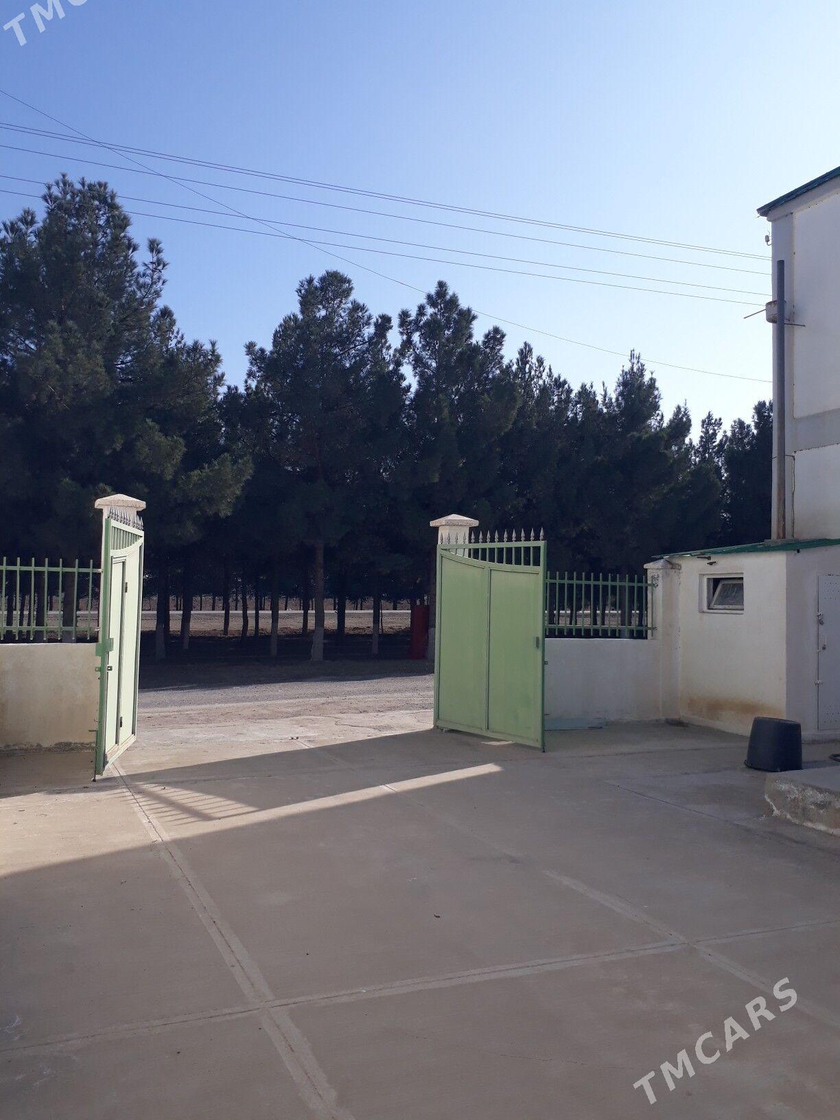 Gökdepe satlyk kottež - Гёкдепе - img 1