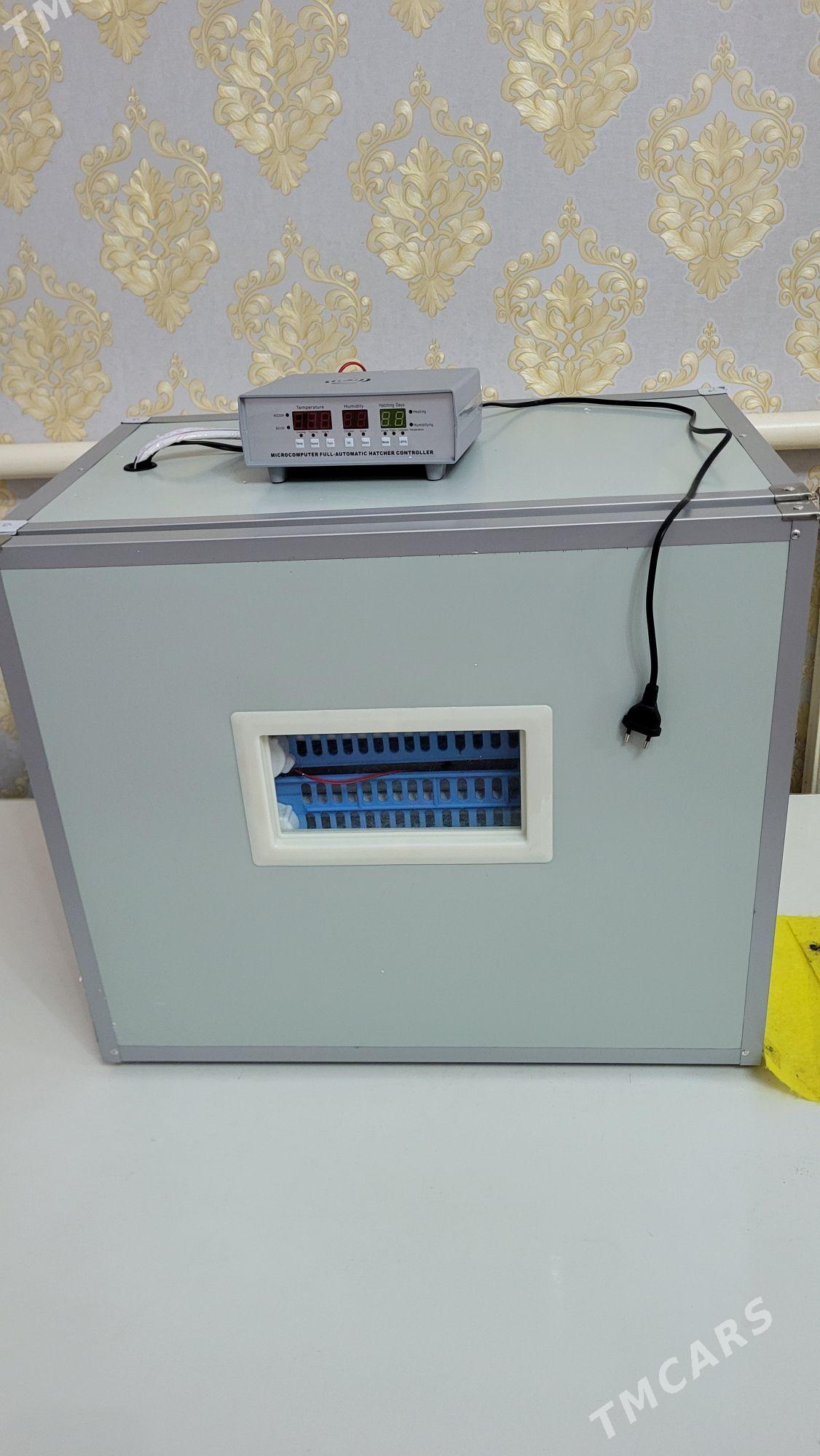 inkubator инкубатор - Şabat etr. - img 1