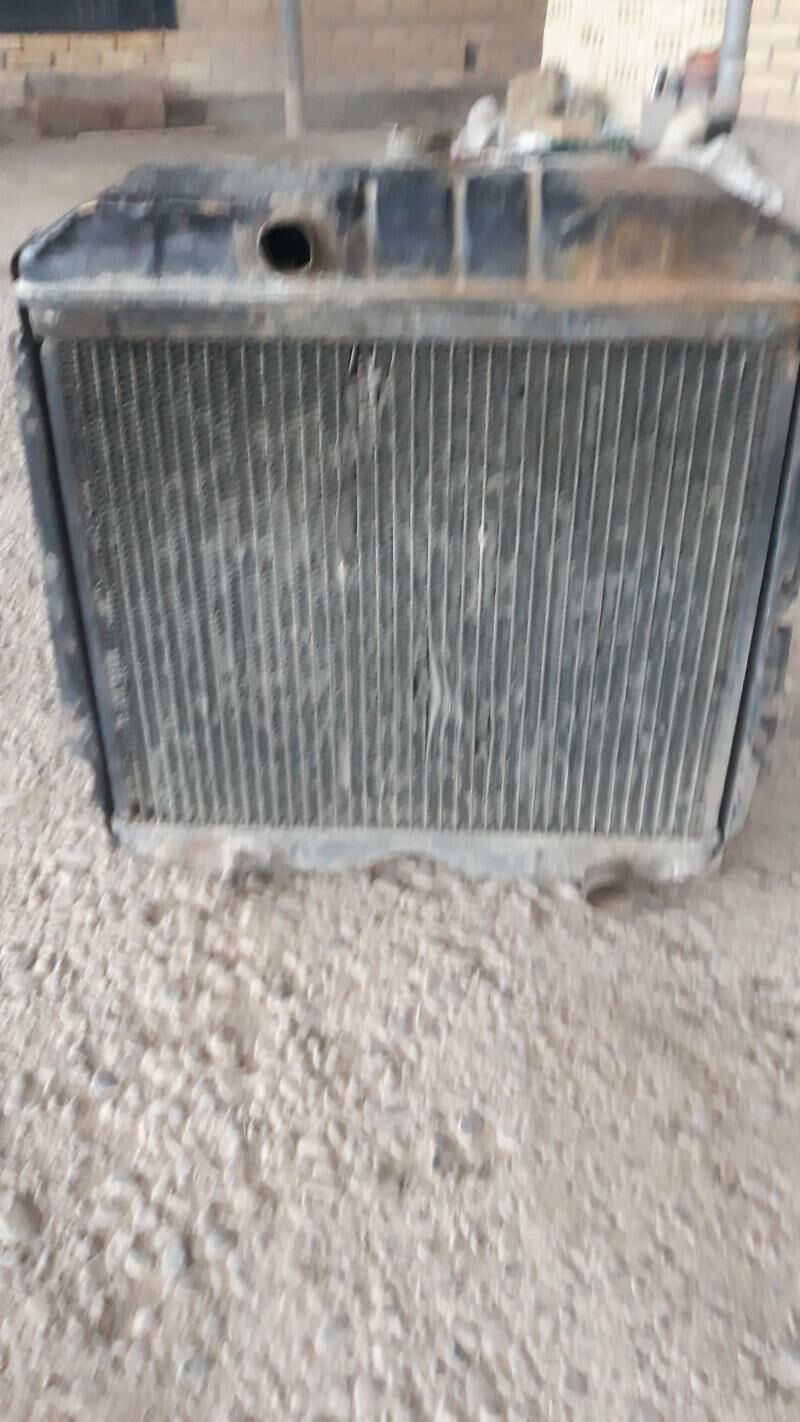 52 Radiyator 1 000 TMT - Sakarçäge - img 1