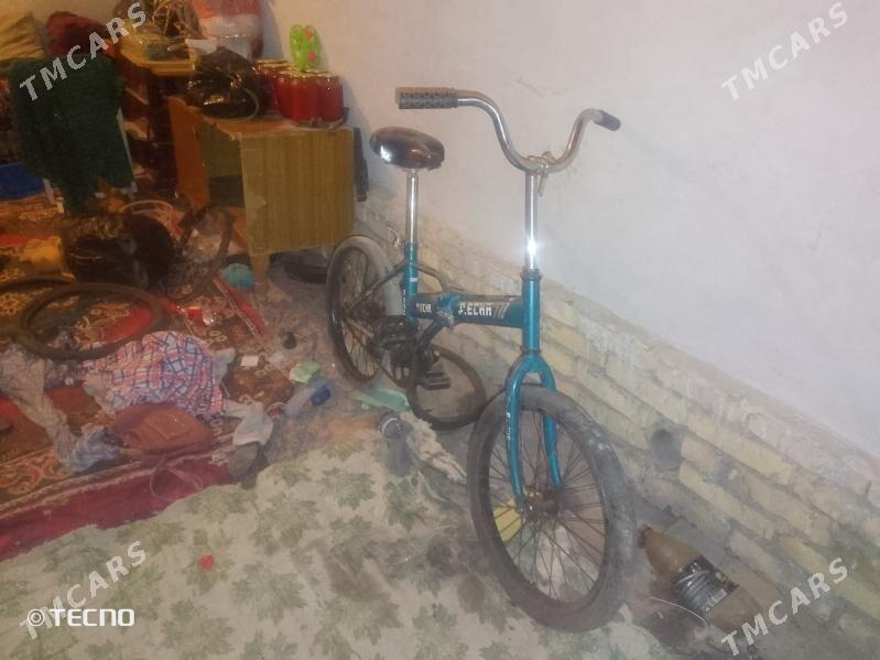 Kama Welesipet - Daşoguz - img 1