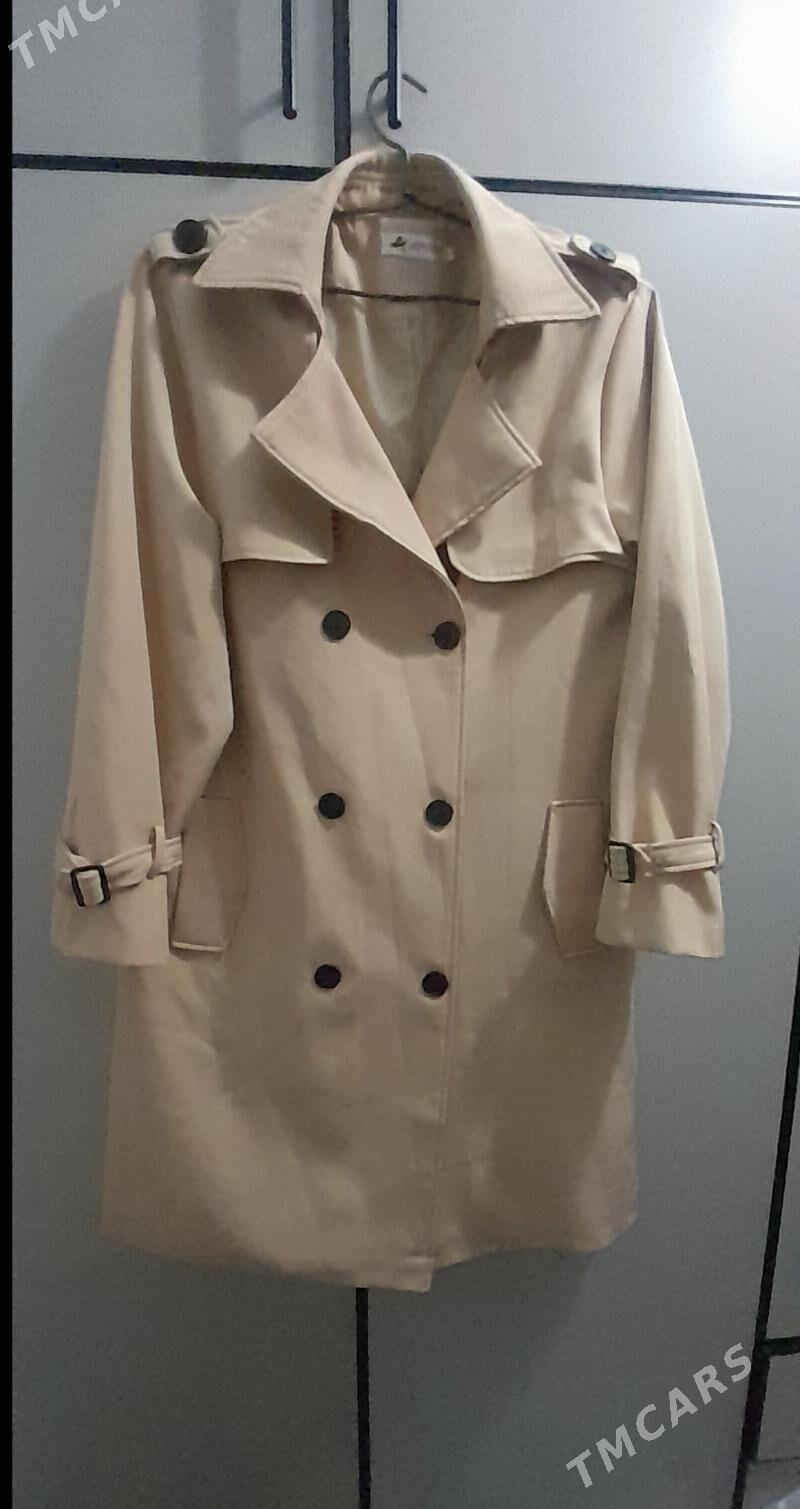 Plaŝ - Daşoguz - img 1