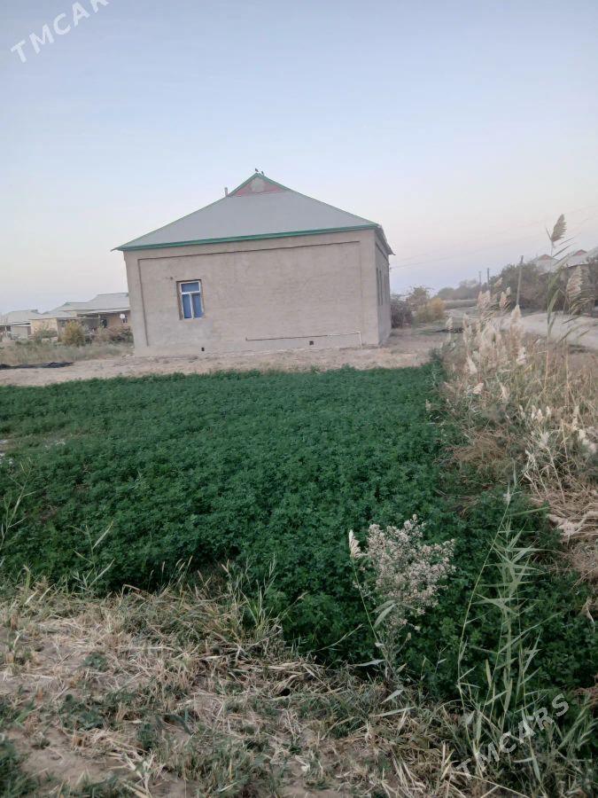 jaý - Türkmengala - img 1