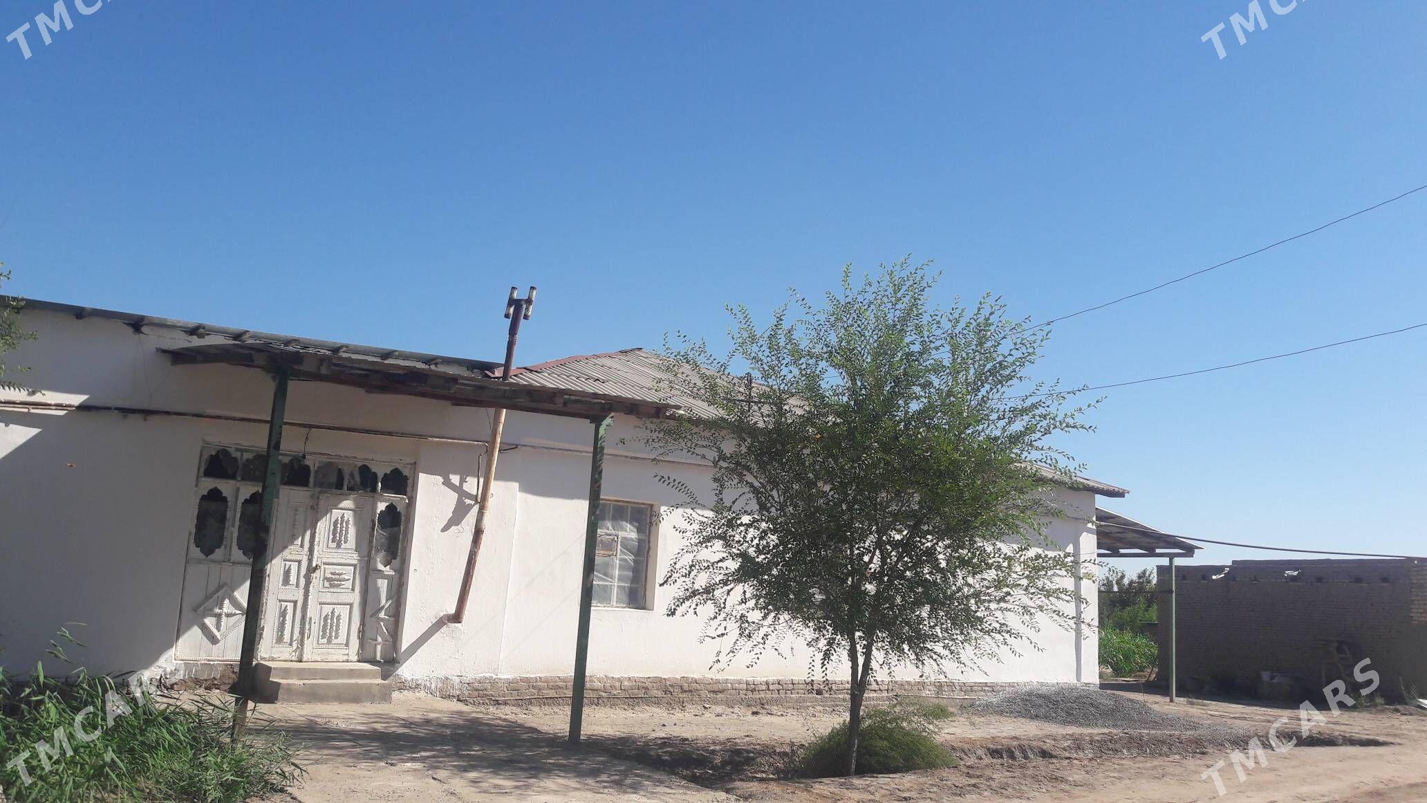 Uçaska jaý - Şabat etr. - img 1