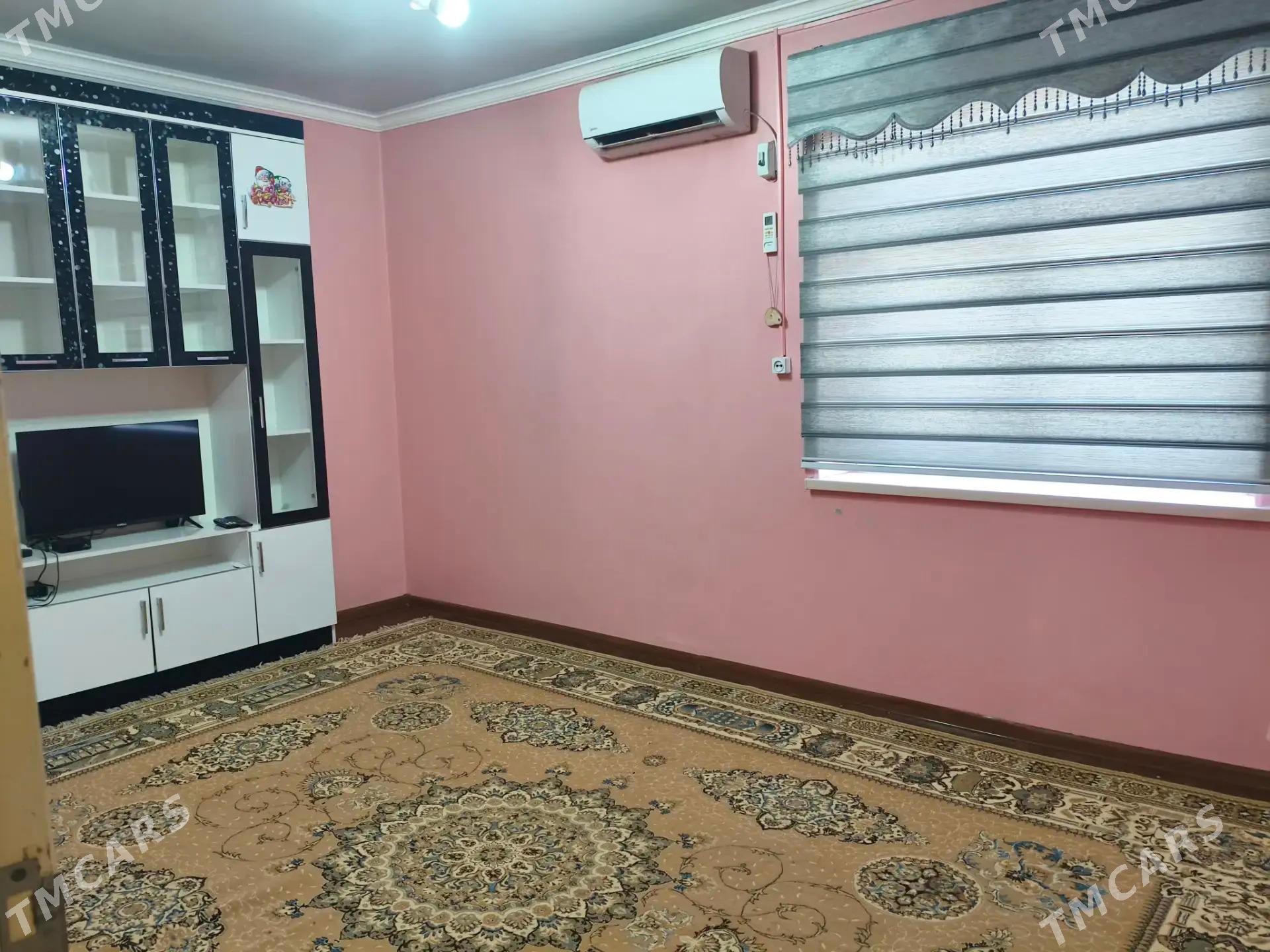 Satlyk jay - Mary - img 1