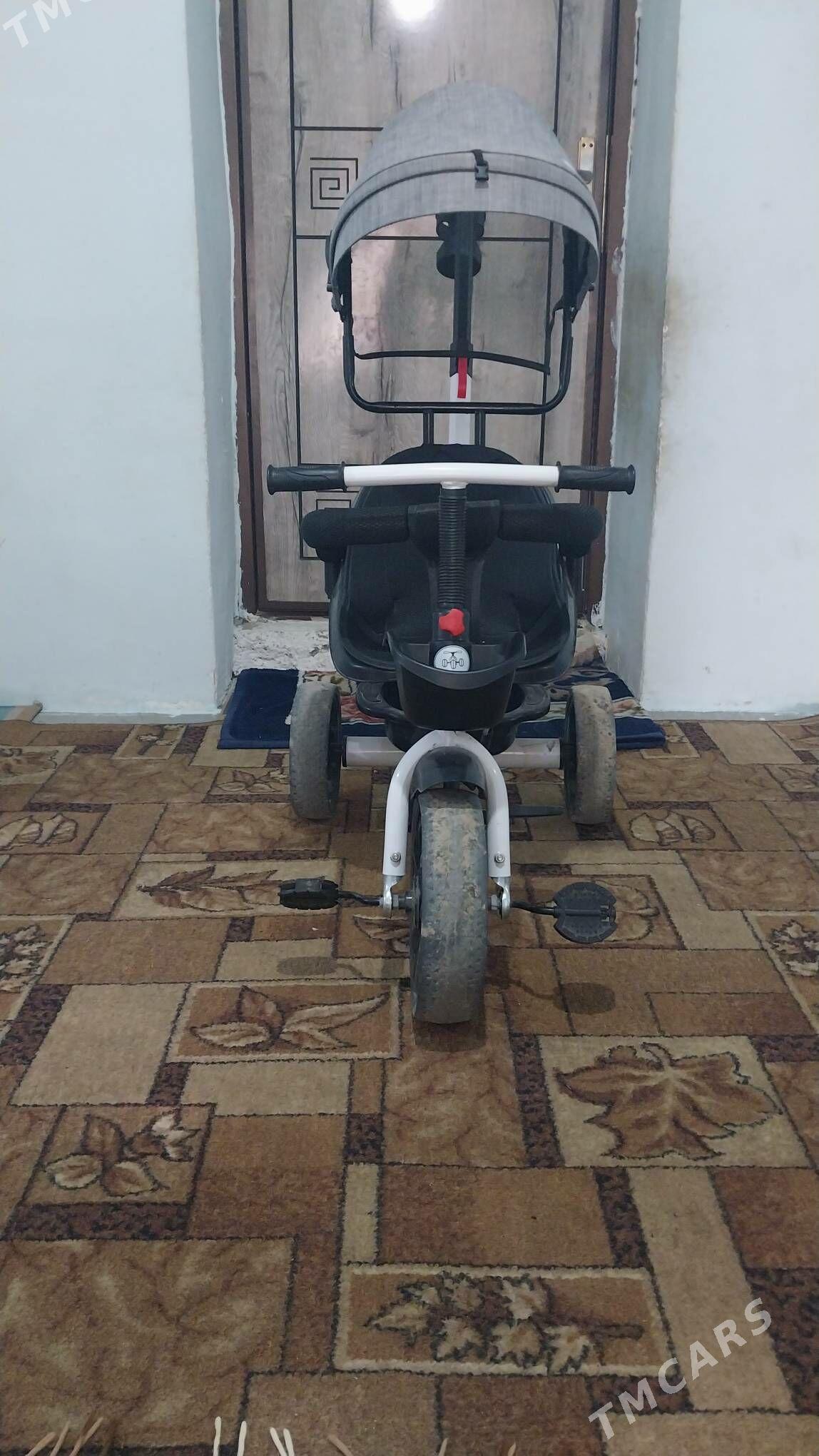 tigir zontikli - Ак-Бугдайский этрап - img 1