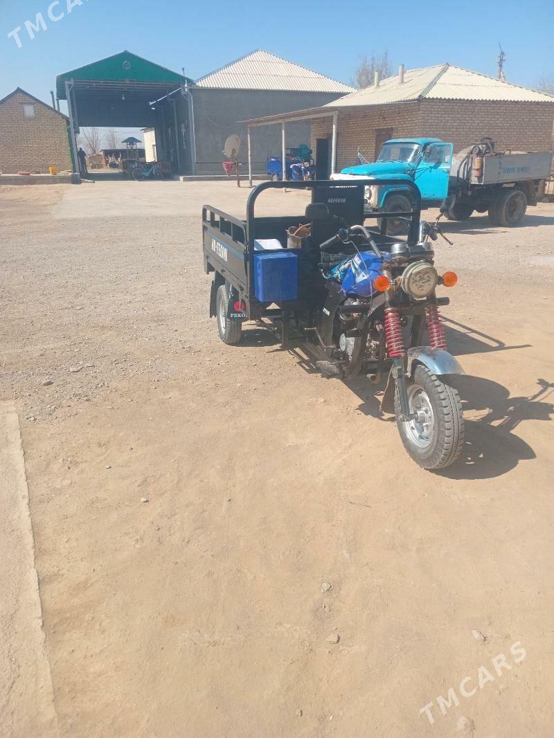 Fekon FK200-14G 2014 - 13 000 TMT - Бабадайхан - img 1