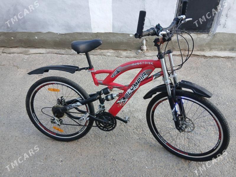 tigir - Büzmeýin - img 1