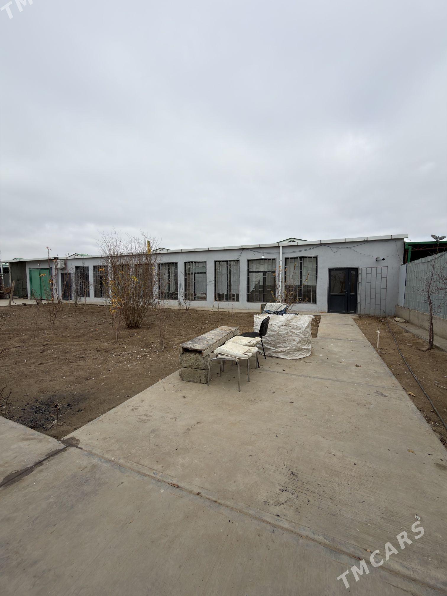 Satlyk plan Jay - Тязе заман - img 1