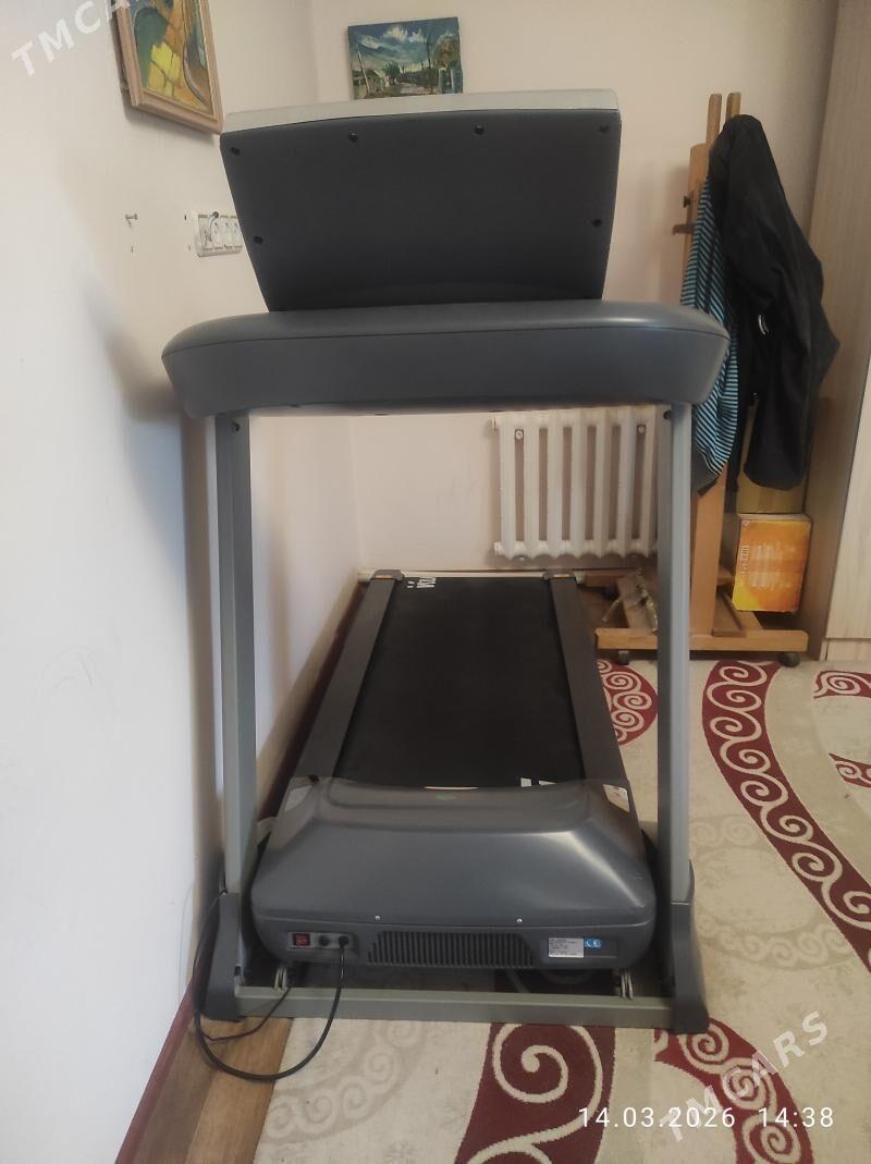 Беговая дорожка - Анев - img 1