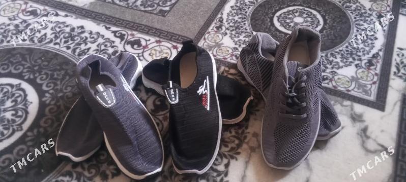 Krasofka letni - Дашогуз - img 1