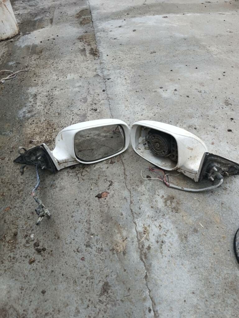 Bakaboy 100 TMT - Бахарден - img 1