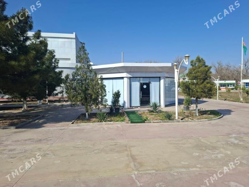 Sowda ya-da ofis ucin zdaniya - Мары - img 1