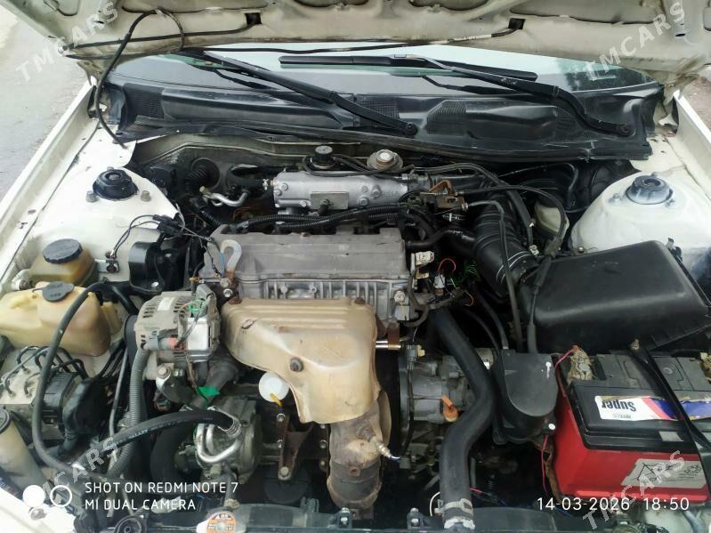 Toyota Camry 2001 - 130 000 TMT - Parahat 3 - img 1