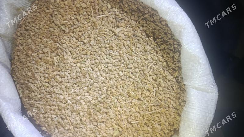 Karmawoy tohum - Бахарден - img 1