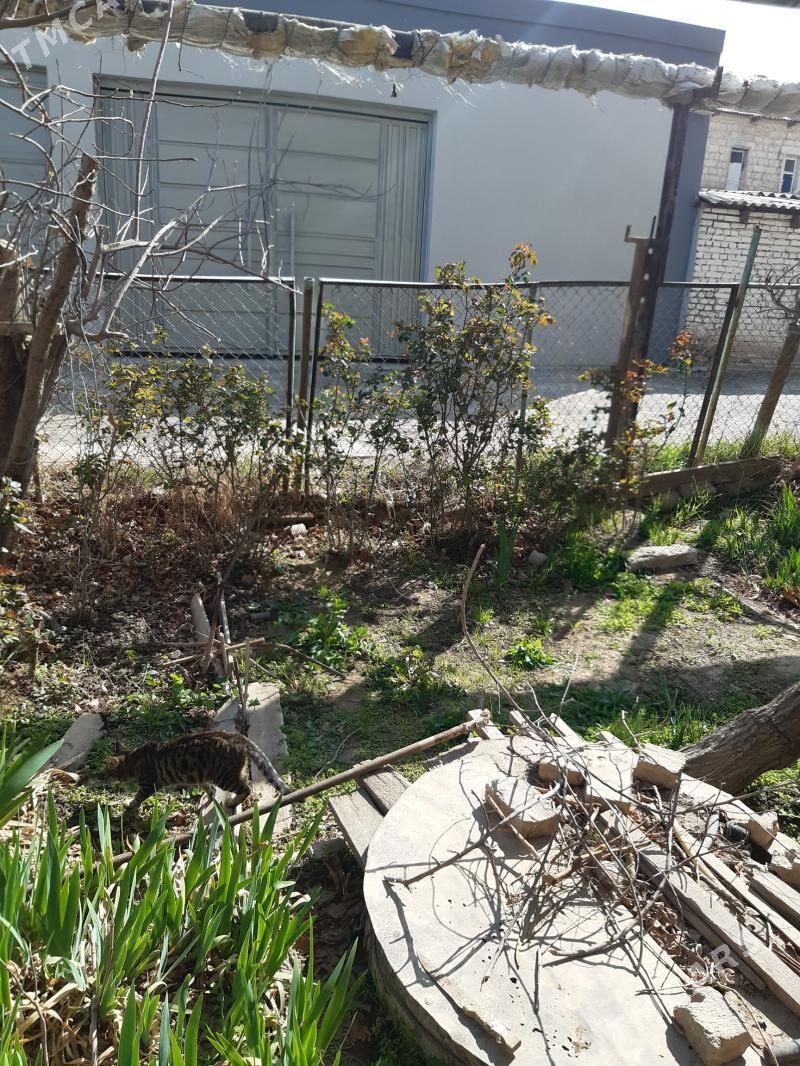 ЦВЕТЫ - Mary - img 1