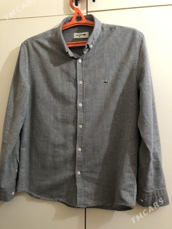 lacocste koynek - Aşgabat - img 1