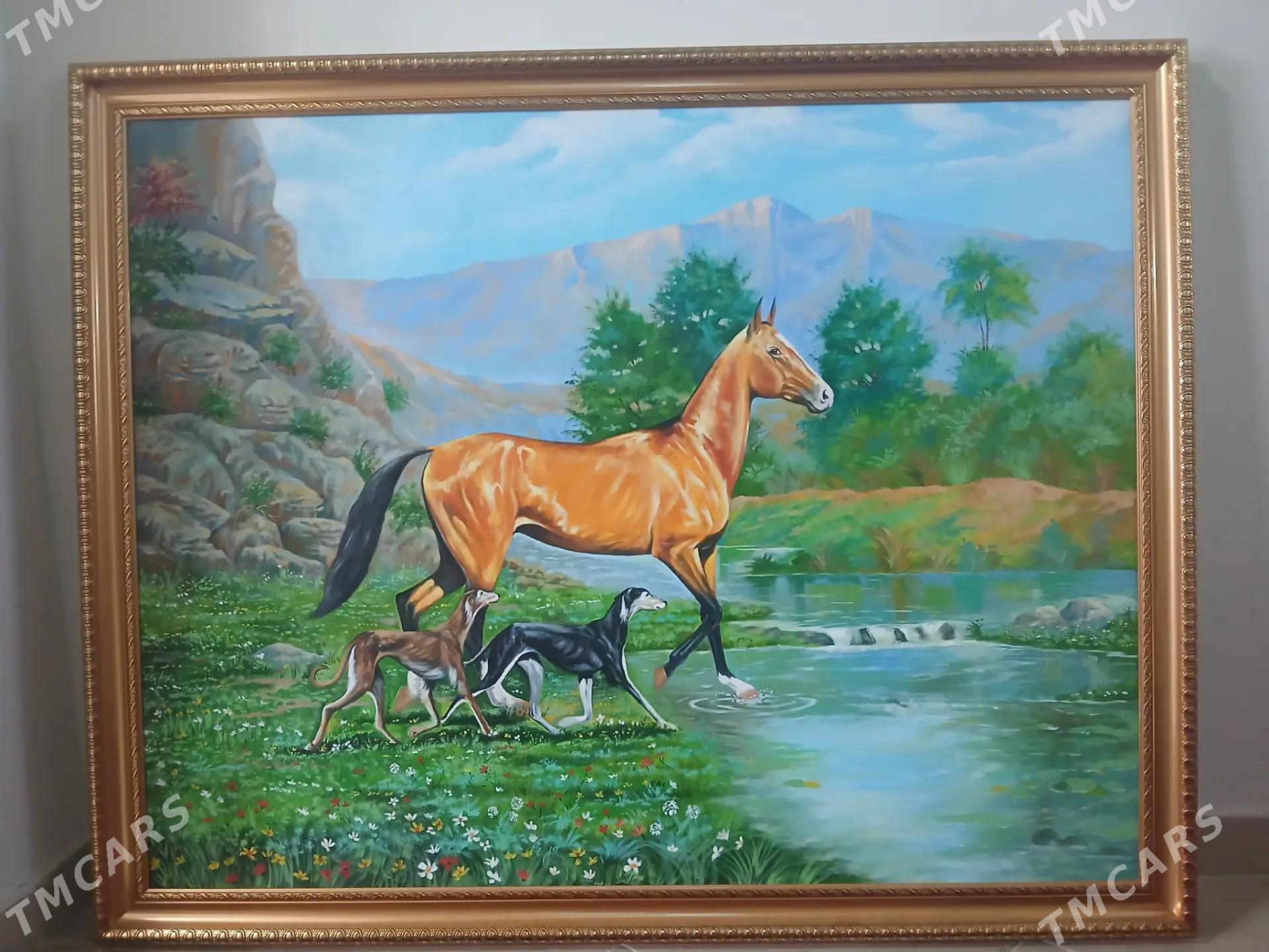 portred taze - Köşi - img 1