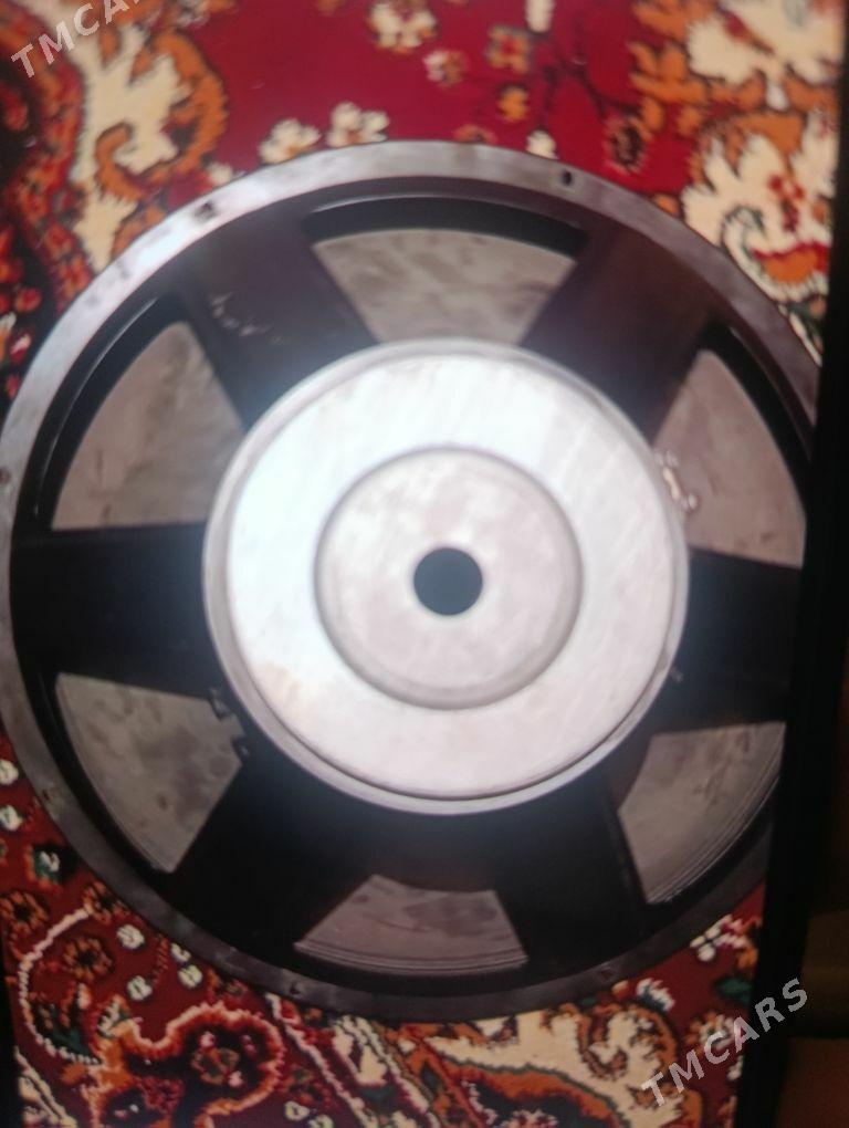 kalonka niski - Wekilbazar - img 1