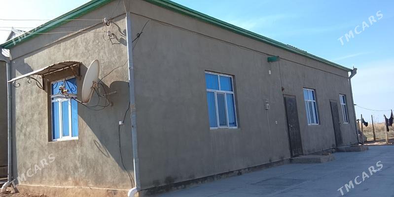 satlyk jai - Ёлётен - img 1